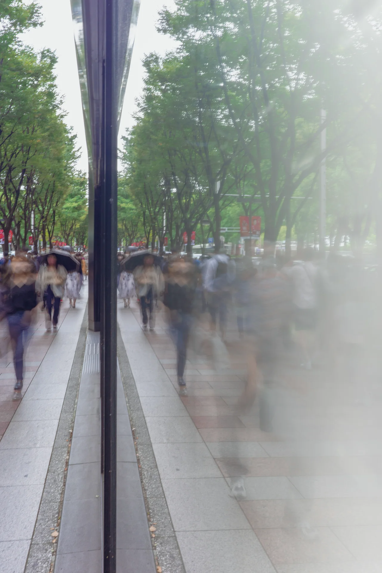 Pedestrians blur along a tree-lined sidewalk beside glass reflecting their figures and the pavement.
