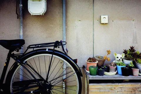 A bicycle's rear wheel stands beside colorful potted plants and a small white animal ornament.