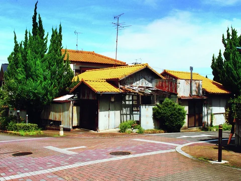 Tall evergreen trees frame a weathered low building with bright yellow roof tiles beside a brick-paved corner.